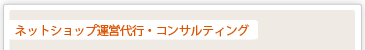 サイト運営サポート・サイト運営代行・店舗コンサルティング