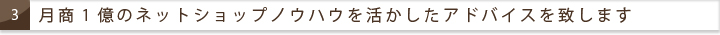 月商1億円のネットショップノウハウを活かしたアドバイスを致します