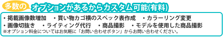 オプションここから
