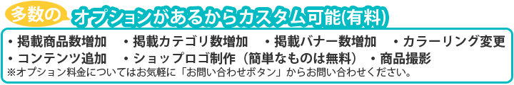 オプションここから